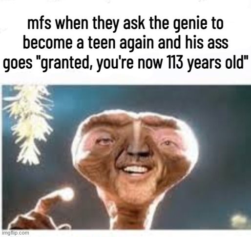 mfs when they ask the genie to become a teen again and his ass goes "granted, you're now 113 years old" | made w/ Imgflip meme maker