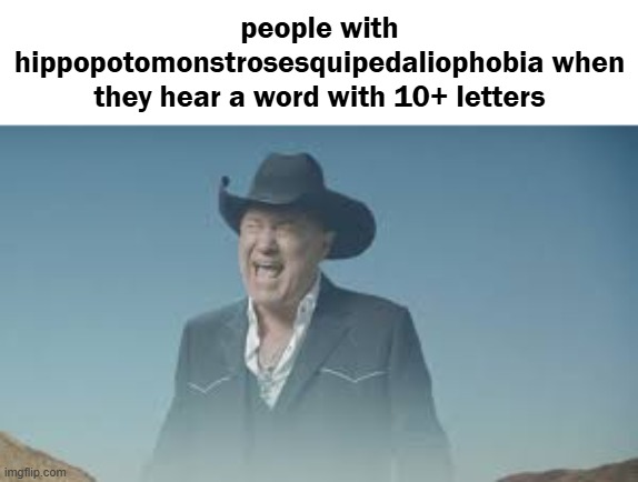 AAAAAAAAAAAAAAAAAAAAAAAAAAA | people with hippopotomonstrosesquipedaliophobia when they hear a word with 10+ letters | image tagged in aaaaaaaaaaaaaaaaaaaaaaaaaaa,supercalifragilisticexpialidocious,hippopotomonstrosesquipedaliophobia | made w/ Imgflip meme maker