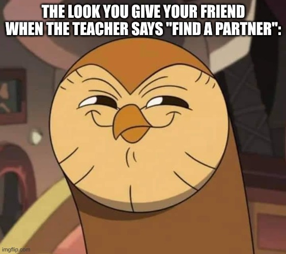Hooty like | THE LOOK YOU GIVE YOUR FRIEND WHEN THE TEACHER SAYS "FIND A PARTNER": | image tagged in hooty like | made w/ Imgflip meme maker