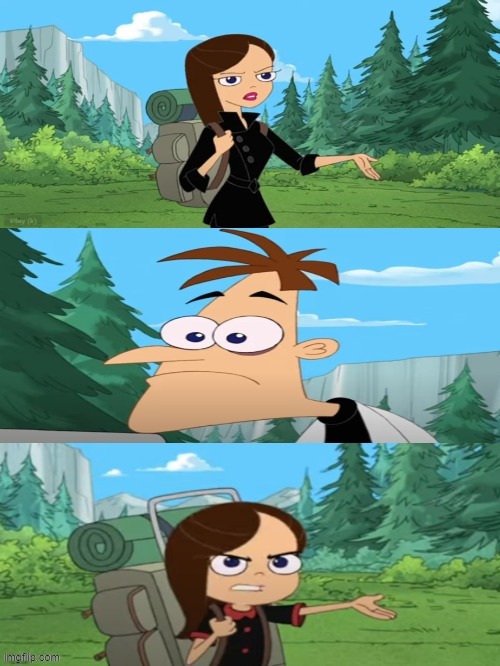 That's practically and adult | image tagged in phineas and ferb | made w/ Imgflip meme maker