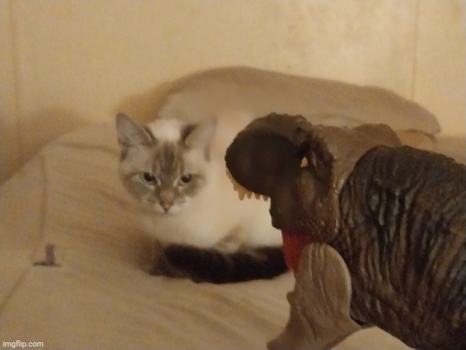 Cat vs T Rex.mp3 | image tagged in cats,mocha,jurassic park,jurassic world,jurassic park/world | made w/ Imgflip meme maker