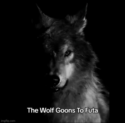 The wolf goons to Futa | image tagged in the wolf goons to futa | made w/ Imgflip meme maker