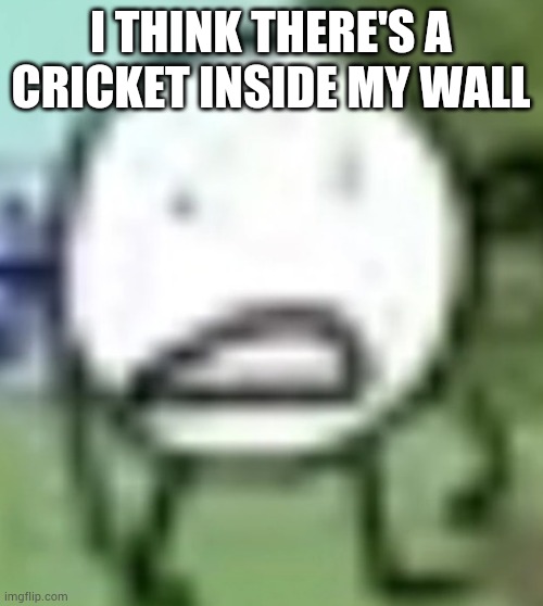 Bro is chirping | I THINK THERE'S A CRICKET INSIDE MY WALL | image tagged in low quality circle | made w/ Imgflip meme maker