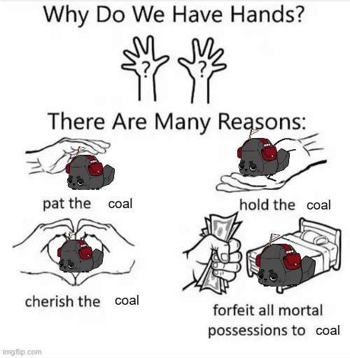I LOVE HER SO MUCH SHE IS MY BABY | coal; coal; coal; coal | image tagged in why do we have hands all blank | made w/ Imgflip meme maker