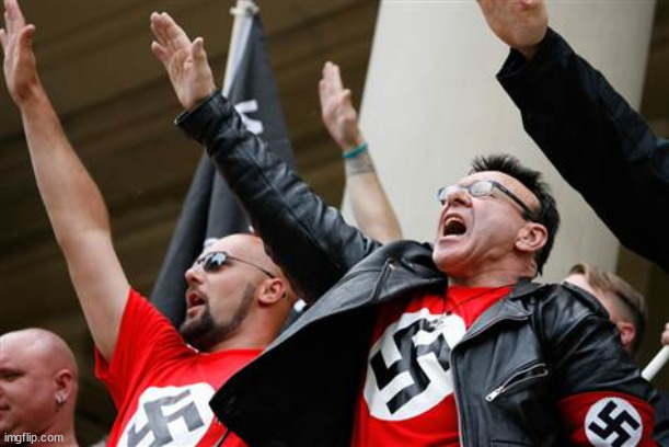 neo-Nazi | image tagged in neo-nazi | made w/ Imgflip meme maker