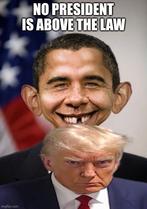 Unless You Are Programmed | NO PRESIDENT IS ABOVE THE LAW | image tagged in alfred e,brainwashed,bigotry,fake news,44,46 | made w/ Imgflip meme maker
