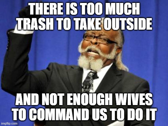 Its just math | THERE IS TOO MUCH TRASH TO TAKE OUTSIDE; AND NOT ENOUGH WIVES TO COMMAND US TO DO IT | image tagged in memes,too damn high | made w/ Imgflip meme maker