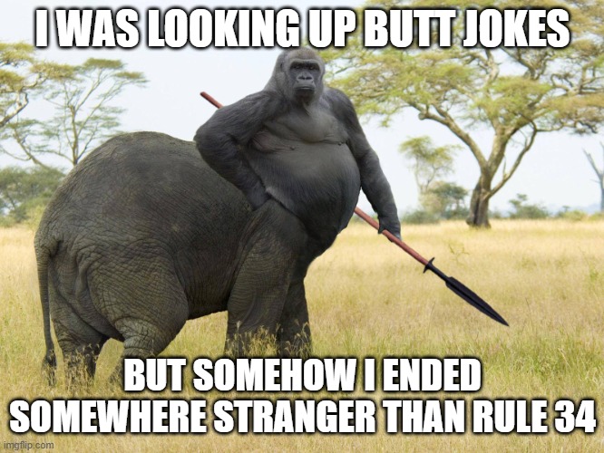 Big Butt Gorillaphant | I WAS LOOKING UP BUTT JOKES; BUT SOMEHOW I ENDED SOMEWHERE STRANGER THAN RULE 34 | image tagged in big butt gorillaphant | made w/ Imgflip meme maker