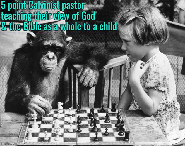 5 Point Chess Chimp | 5 point Calvinist pastor teaching their view of God & the Bible as a whole to a child | image tagged in chess chimp girl,calvinism,arminian,molinism,reformed theology 5 point calvinist pastors,cheap chessboard puppet theology | made w/ Imgflip meme maker