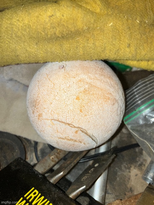 3 guesses as to what this is | made w/ Imgflip meme maker
