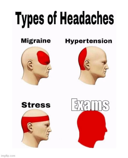 Exams | image tagged in school,memes,funny,sports,lattice climbing,climbing | made w/ Imgflip meme maker