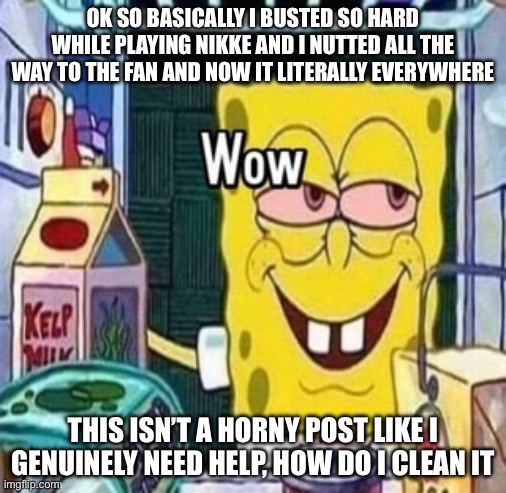 7udan5 (Nikke Version) | OK SO BASICALLY I BUSTED SO HARD WHILE PLAYING NIKKE AND I NUTTED ALL THE WAY TO THE FAN AND NOW IT LITERALLY EVERYWHERE; THIS ISN’T A HORNY POST LIKE I GENUINELY NEED HELP, HOW DO I CLEAN IT | image tagged in wow bob | made w/ Imgflip meme maker