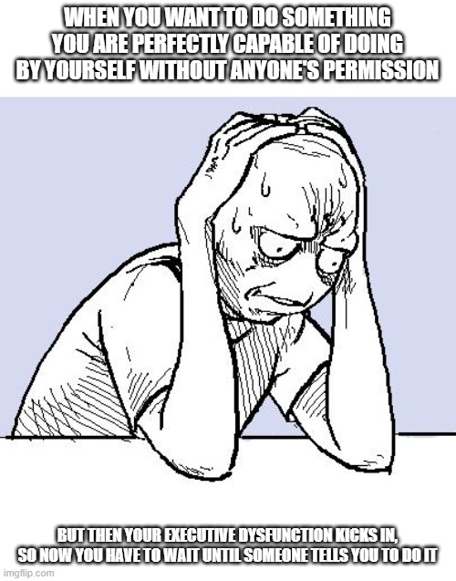 This sucks | WHEN YOU WANT TO DO SOMETHING YOU ARE PERFECTLY CAPABLE OF DOING BY YOURSELF WITHOUT ANYONE'S PERMISSION; BUT THEN YOUR EXECUTIVE DYSFUNCTION KICKS IN, SO NOW YOU HAVE TO WAIT UNTIL SOMEONE TELLS YOU TO DO IT | image tagged in stressed meme,memes,executive dysfunction | made w/ Imgflip meme maker
