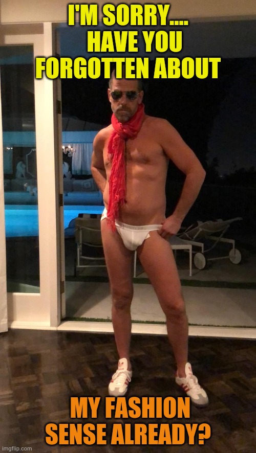 Hunter Biden Underwear | I'M SORRY....    HAVE YOU FORGOTTEN ABOUT MY FASHION SENSE ALREADY? | image tagged in hunter biden underwear | made w/ Imgflip meme maker