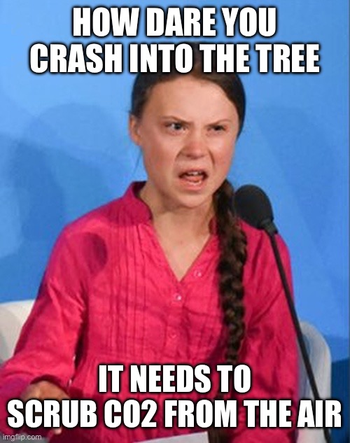 Greta Thunberg how dare you | HOW DARE YOU CRASH INTO THE TREE IT NEEDS TO SCRUB CO2 FROM THE AIR | image tagged in greta thunberg how dare you | made w/ Imgflip meme maker