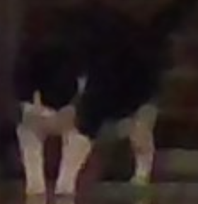 when ur life goes down the drain Blank Meme Template