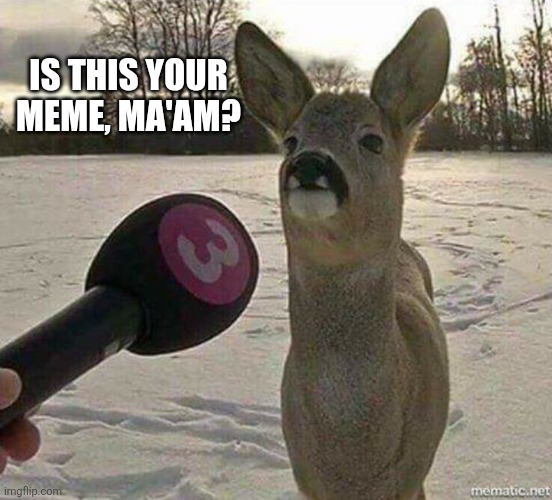 Deer interviewed | IS THIS YOUR MEME, MA'AM? | image tagged in deer interviewed | made w/ Imgflip meme maker