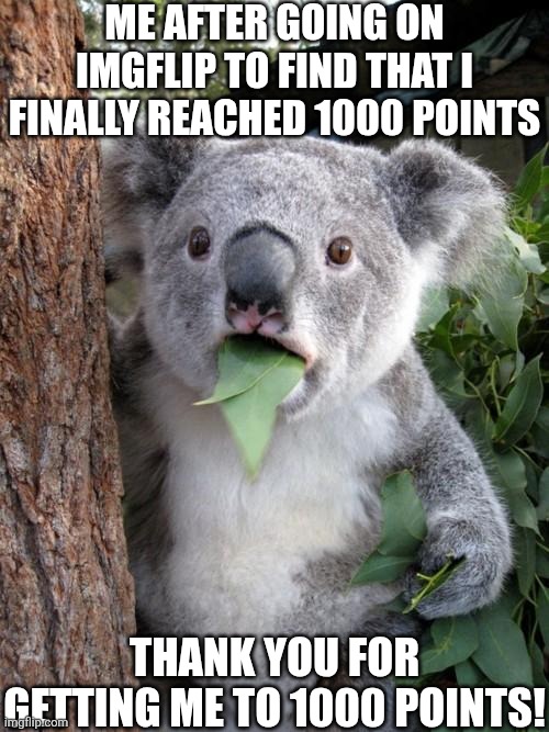 Never Expected This. | ME AFTER GOING ON IMGFLIP TO FIND THAT I FINALLY REACHED 1000 POINTS; THANK YOU FOR GETTING ME TO 1000 POINTS! | image tagged in memes,surprised koala,thanks | made w/ Imgflip meme maker