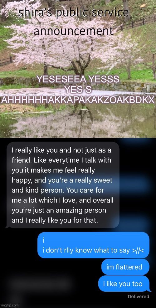 I DID IT | YESESEEA YESSS YES S AHHHHHHAKKAPAKAKZOAKBDKX | image tagged in shira s psa | made w/ Imgflip meme maker