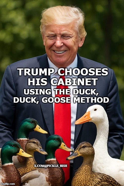 Trump's Cabinet Choosing Method | image tagged in trumpduckgoose | made w/ Imgflip meme maker