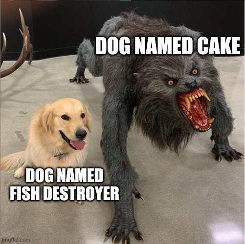 Funny | DOG NAMED CAKE; DOG NAMED FISH DESTROYER | image tagged in dog vs werewolf | made w/ Imgflip meme maker