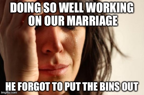 First World Problems | DOING SO WELL WORKING ON OUR MARRIAGE HE FORGOT TO PUT THE BINS OUT | image tagged in memes,first world problems | made w/ Imgflip meme maker