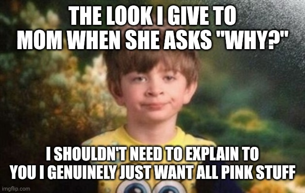 Annoyed Child Meme | THE LOOK I GIVE TO MOM WHEN SHE ASKS "WHY?"; I SHOULDN'T NEED TO EXPLAIN TO YOU I GENUINELY JUST WANT ALL PINK STUFF | image tagged in annoyed child meme | made w/ Imgflip meme maker