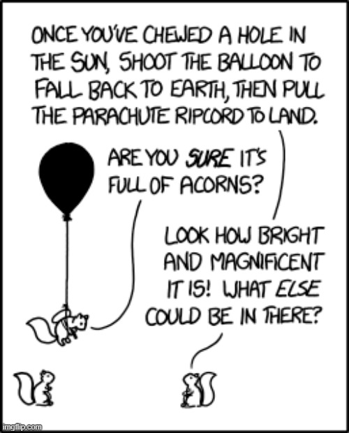 [Halfway to the Sun ...] "Heyyyy... what if this BALLOON is full of acorns?!" | image tagged in squirrels,plan,journey,sun,balloon,acorns | made w/ Imgflip meme maker