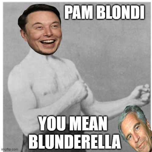 Overly Manly Musk Man | PAM BLONDI; YOU MEAN 
BLUNDERELLA | image tagged in memes,overly manly man,jeffrey epstein,epstein,elon musk laughing,elon musk | made w/ Imgflip meme maker
