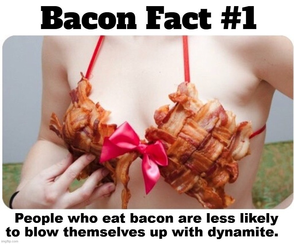 Bacon Fact #1. | image tagged in who doesn't love bacon,bacon week,bacon meme,i love bacon,muslim bacon | made w/ Imgflip meme maker