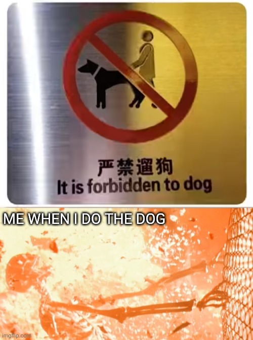 ME WHEN I DO THE DOG | image tagged in it is forbidden to dog,skeleton exploding | made w/ Imgflip meme maker