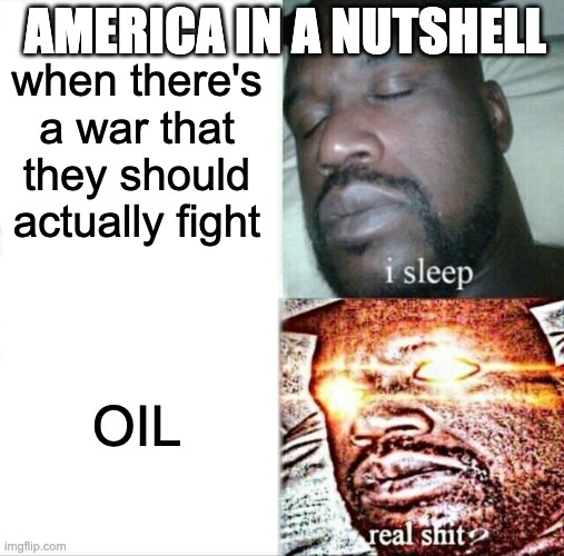 Sleeping Shaq | AMERICA IN A NUTSHELL; when there's a war that they should actually fight; OIL | image tagged in memes,sleeping shaq | made w/ Imgflip meme maker