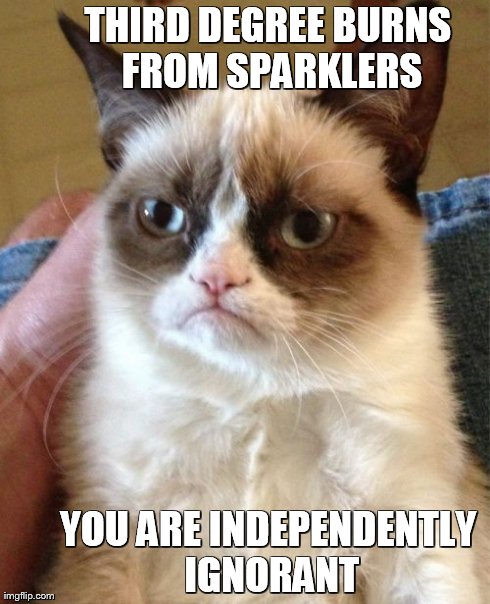 Grumpy Cat Meme | THIRD DEGREE BURNS FROM SPARKLERS YOU ARE INDEPENDENTLY IGNORANT | image tagged in memes,grumpy cat | made w/ Imgflip meme maker
