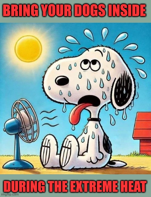 Dogs And Cats Get Heat Stroke Too!  BRING THEM INSIDE! | BRING YOUR DOGS INSIDE; DURING THE EXTREME HEAT | image tagged in memes,dogs,cats,too hot,cool off,chill out | made w/ Imgflip meme maker