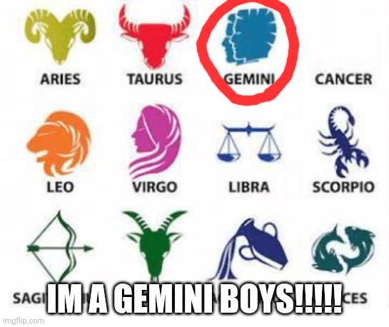 I also made a new zodiac called zict | IM A GEMINI BOYS!!!!! | image tagged in zodiac signs | made w/ Imgflip meme maker