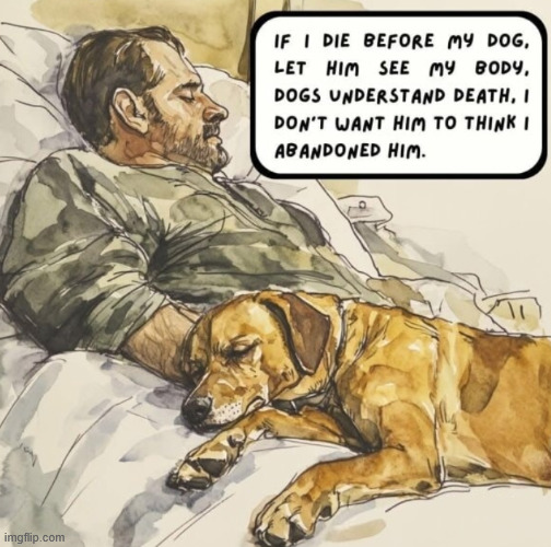 Good idea? | image tagged in meme,dog,sad,true,climbing,latticeclimbing | made w/ Imgflip meme maker