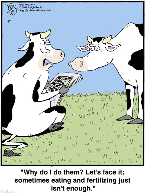 Rubes | image tagged in comics,rubes,cows | made w/ Imgflip meme maker