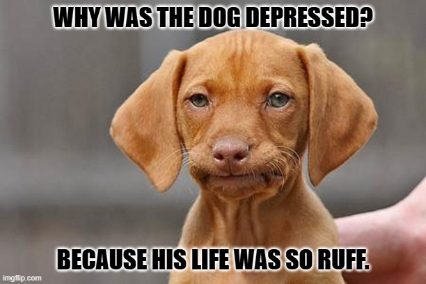 Daily Bad Dad Joke July 22, 2025 | WHY WAS THE DOG DEPRESSED? BECAUSE HIS LIFE WAS SO RUFF. | image tagged in dissapointed puppy | made w/ Imgflip meme maker