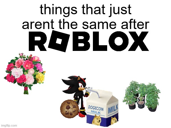 flowers, gardens and shadow drinking milk with a cookie | things that just arent the same after | image tagged in idk | made w/ Imgflip meme maker