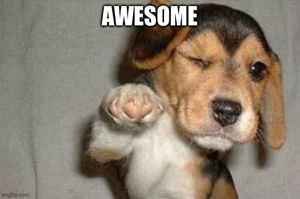 Awesome Dog | AWESOME | image tagged in awesome dog | made w/ Imgflip meme maker