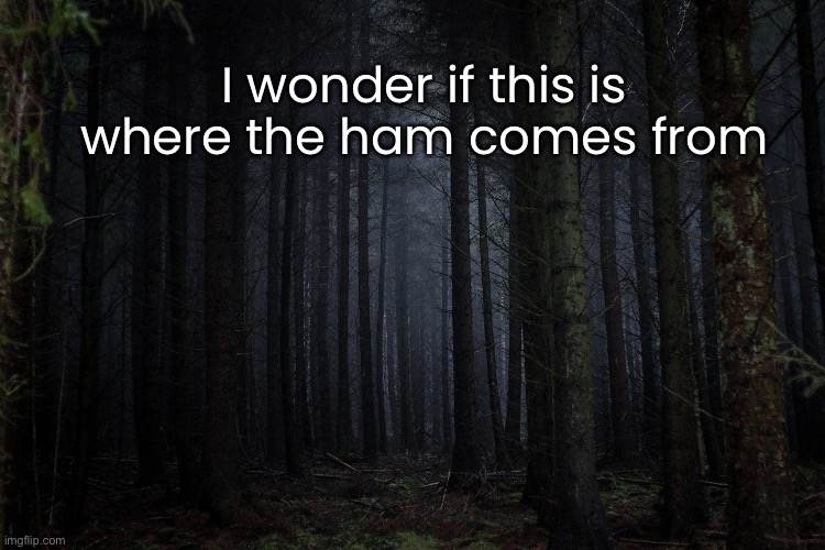 The Black Forest of Germany | I wonder if this is where the ham comes from | image tagged in funny memes,silly | made w/ Imgflip meme maker