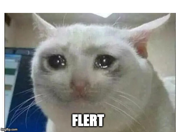 Flert | FLERT | image tagged in latin | made w/ Imgflip meme maker