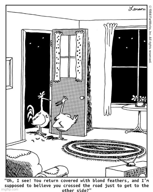 The Far Side | image tagged in comics,the far side,chickens,why did the chicken cross the road | made w/ Imgflip meme maker
