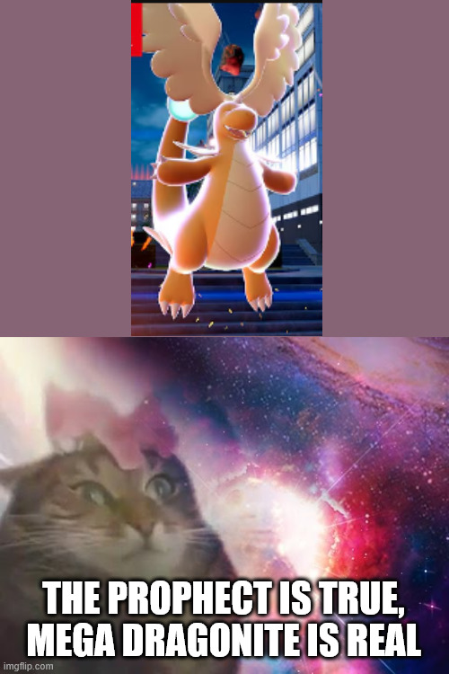 the prophecy is true cat | THE PROPHECT IS TRUE, MEGA DRAGONITE IS REAL | image tagged in the prophecy is true cat | made w/ Imgflip meme maker