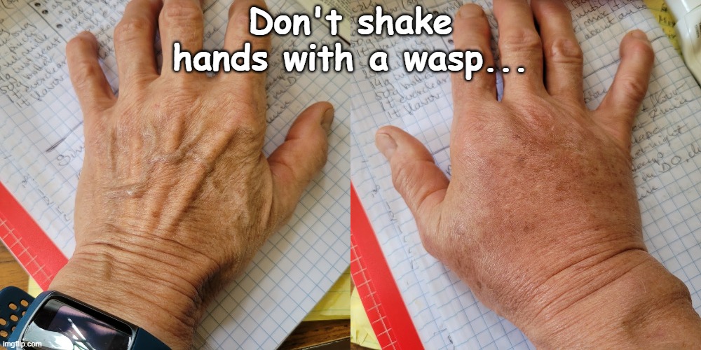 Swell | Don't shake hands with a wasp... | image tagged in venom,wasp,hands,handshake | made w/ Imgflip meme maker