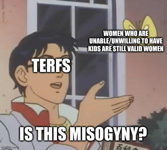 Terf logic | WOMEN WHO ARE UNABLE/UNWILLING TO HAVE KIDS ARE STILL VALID WOMEN; TERFS; IS THIS MISOGYNY? | image tagged in transphobia,terfs,gender critical,transgender,trans women | made w/ Imgflip meme maker