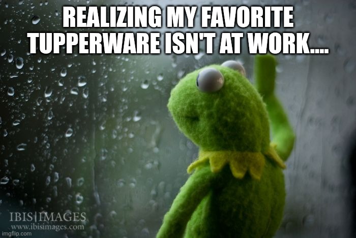 kermit window | REALIZING MY FAVORITE TUPPERWARE ISN'T AT WORK.... | image tagged in kermit window | made w/ Imgflip meme maker