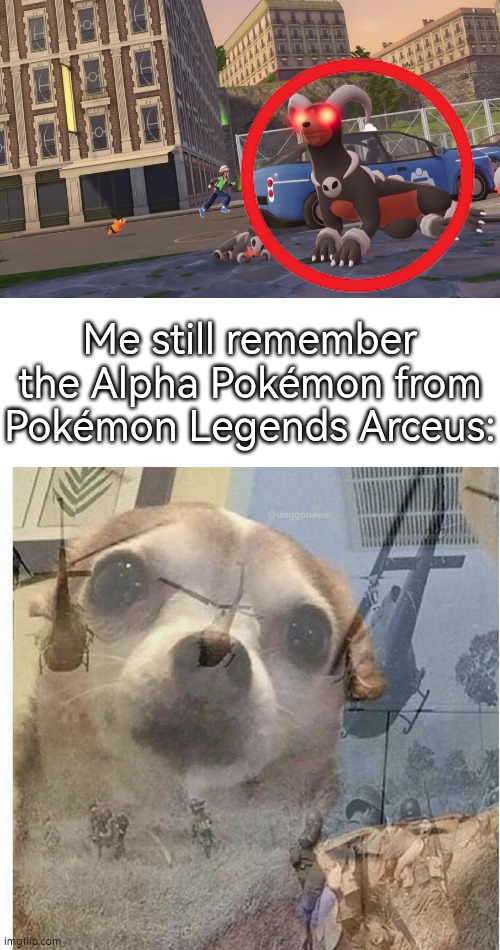 Do not do it, Gamefreak! | Me still remember the Alpha Pokémon from Pokémon Legends Arceus: | image tagged in ptsd chihuahua,alpha pokemon,pokemon za | made w/ Imgflip meme maker