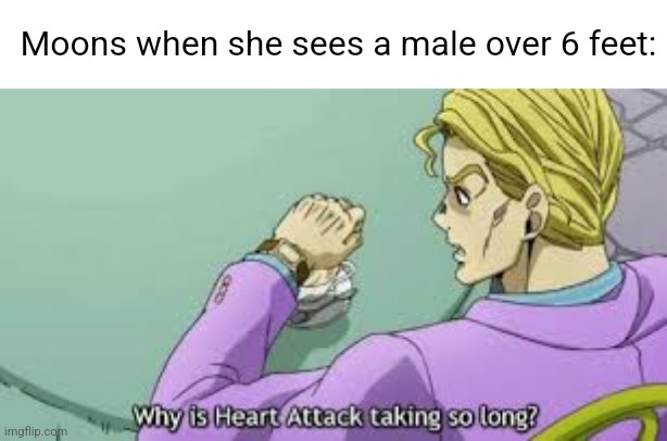 Why is Heart Attack taking so long? | Moons when she sees a male over 6 feet: | image tagged in why is heart attack taking so long | made w/ Imgflip meme maker