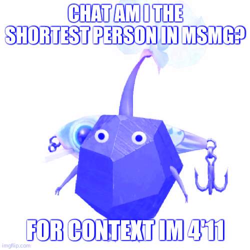 Fishing bait rock pikmin | CHAT AM I THE SHORTEST PERSON IN MSMG? FOR CONTEXT IM 4'11 | image tagged in fishing bait rock pikmin | made w/ Imgflip meme maker